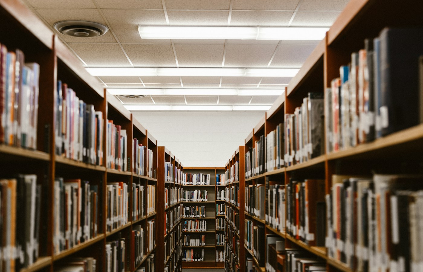 A bright campus library ready for a day of study