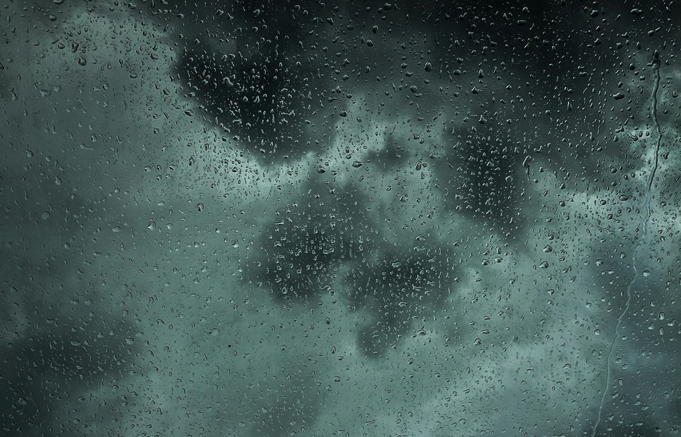 A compact umbrella for a rainy commute